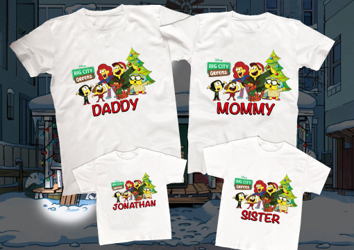 Big City Greens Christmas Shirt, Big City Greens Family birthday party T-shirt, Custom Name and Age,Birthday Gift, Family Matching Shirt