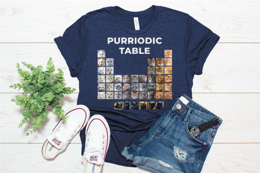 Funny Cat Chemistry Pun Periodic Table Gift For Men Women T-Shirt